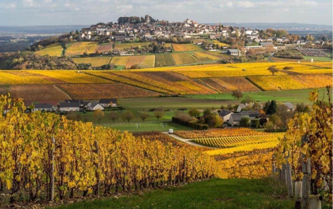 L'Annexe Villa Verdigny ภายนอก รูปภาพ